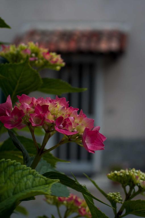 B&B Cascina Santa Гави Экстерьер фото